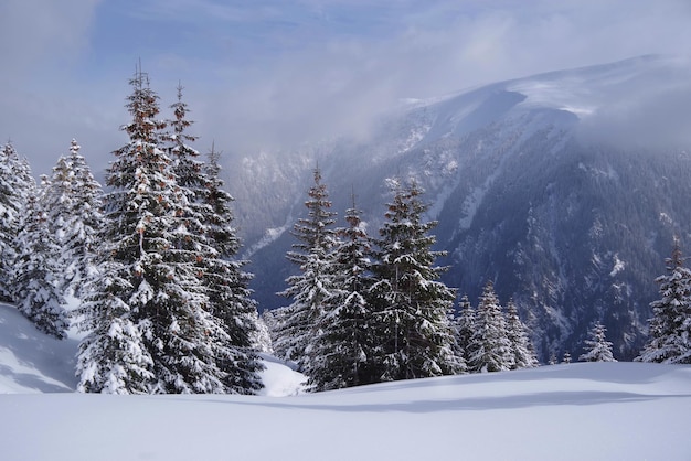 Vista panorámica de las montañas cubiertas de nieve contra el cielo