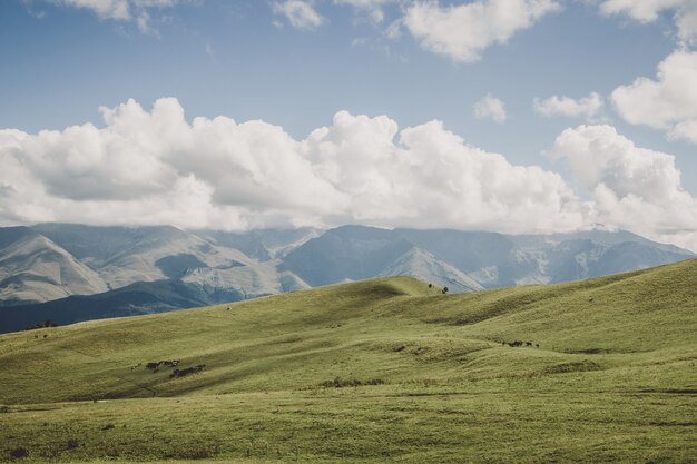 Vista panorámica de las montañas y escenas del valle en el parque nacional Dombay, Cáucaso, Rusia, Europa. Espectacular cielo azul y paisaje soleado de verano