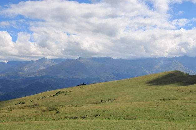 Vista panorámica de las montañas y escenas del valle en el parque nacional Dombay, Cáucaso, Rusia, Europa. Espectacular cielo azul y paisaje soleado de verano