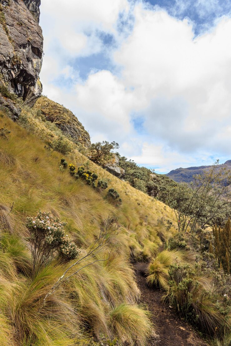 Foto vista panorámica de las montañas rocosas contra el cielo