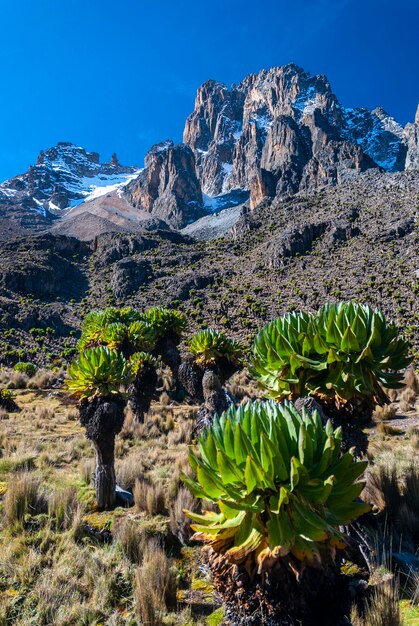 Foto vista panorámica de las montañas rocosas contra el cielo