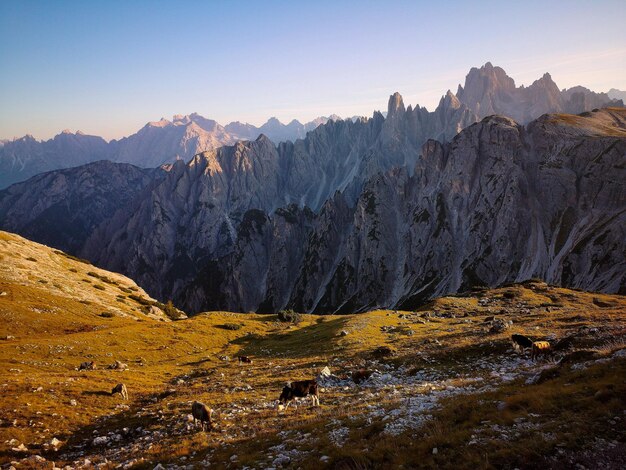 Foto vista panorámica de las montañas rocosas contra el cielo