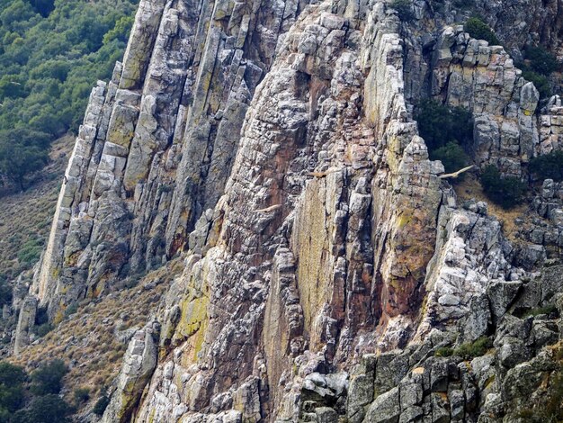 Foto vista panorámica de las montañas rocosas