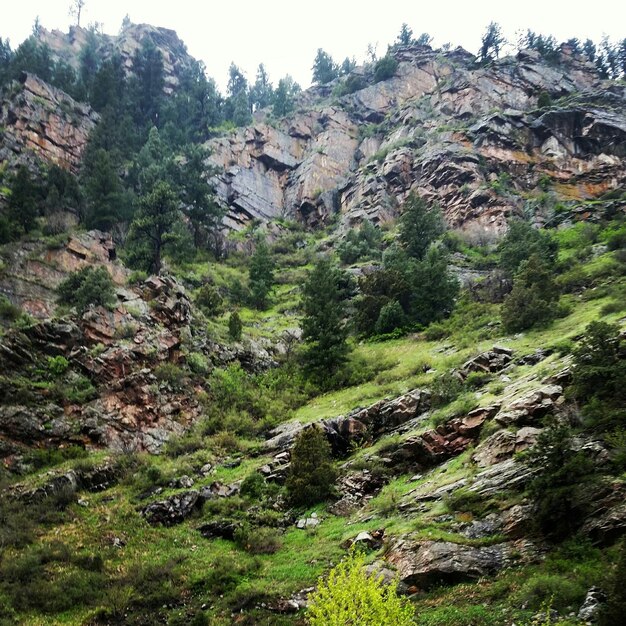 Vista panorámica de las montañas