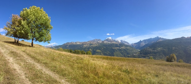 Vista panorâmica na montanha alpina gama de um caminho em um prado
