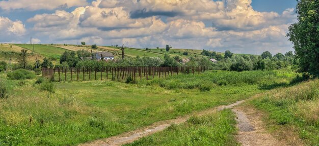 Vista panorámica de la naturaleza alrededor del castillo de Svirzh, Ucrania, en un día soleado de verano