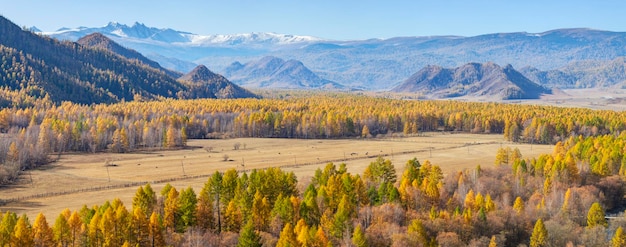 Vista panorámica de la naturaleza otoñal.