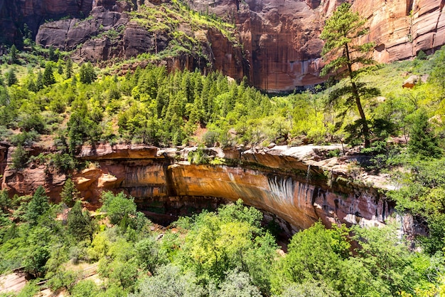 Vista panorámica de la naturaleza virgen del Parque Nacional Zion