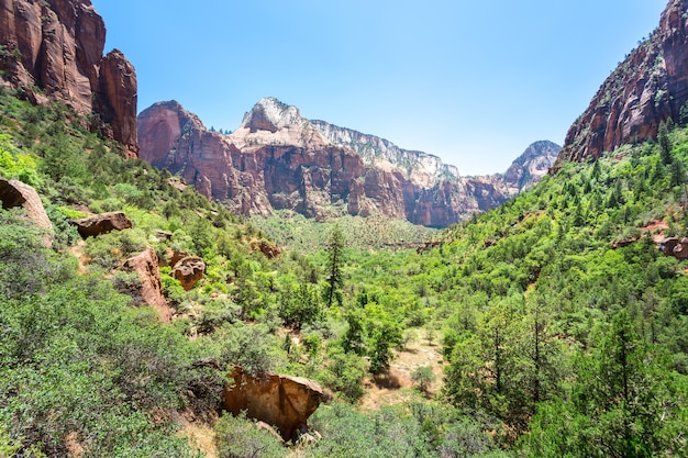 Vista panorámica de la naturaleza virgen del Parque Nacional Zion