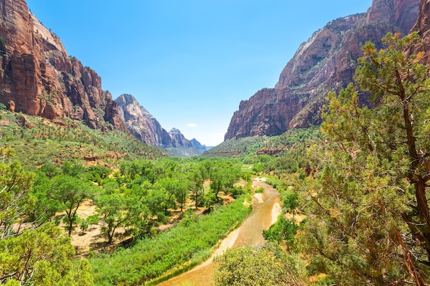 Vista panorámica de la naturaleza virgen del Parque Nacional Zion