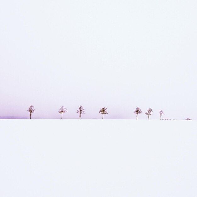 Foto vista panorámica de la nieve contra el cielo despejado