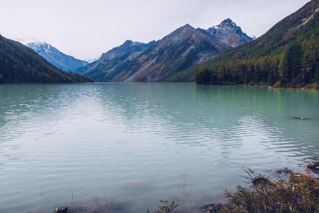 Vista panorâmica no rio de montanha Kucherla e floresta de montanha. Parque Nacional Belukha, República de Altai, Sibéria, Rússia