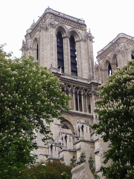 Vista panorámica de notre dame en un día de primavera París Francia