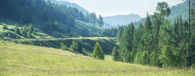 Vista panorâmica, paisagem montanhosa em uma manhã ensolarada de verão