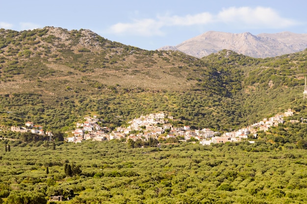 Vista panorámica del paisaje agrícola contra el cielo