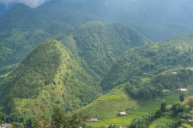 Vista panorámica del paisaje agrícola