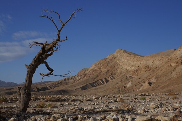 Foto vista panorámica de un paisaje árido contra un cielo azul claro