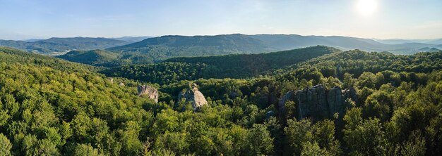 Vista panorámica del paisaje brillante con árboles de bosque verde y grandes rocas rocosas entre densos bosques en verano. Hermoso paisaje de bosques salvajes.