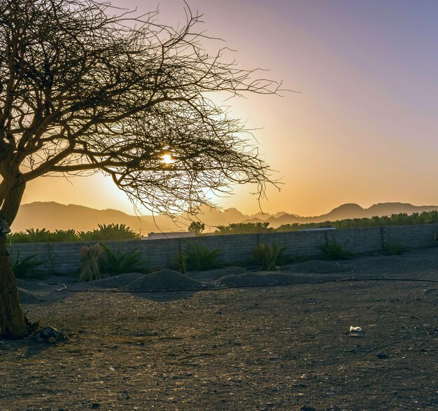 Vista panorámica del paisaje contra el cielo al atardecer