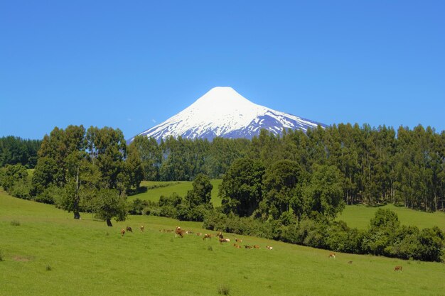 Foto vista panorámica del paisaje contra el cielo azul claro