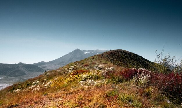 Foto vista panorámica del paisaje contra un cielo despejado