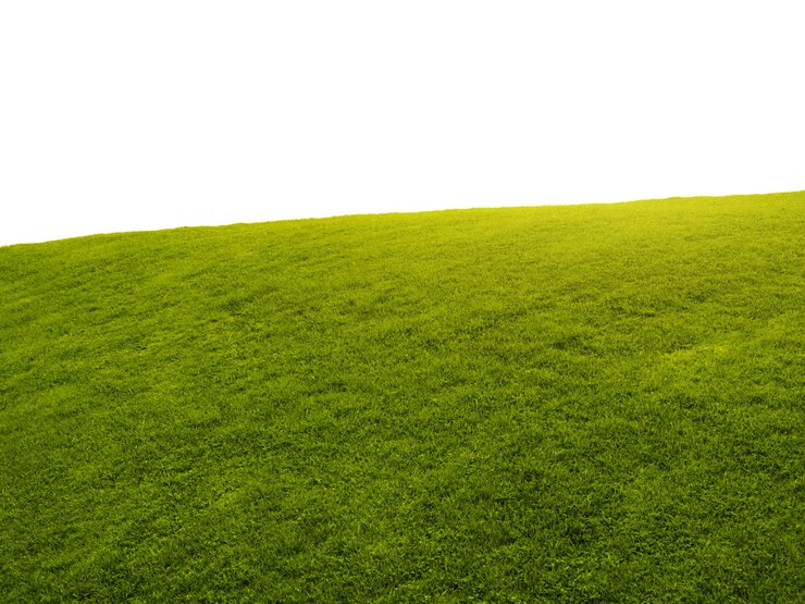 Foto vista panorámica del paisaje contra un cielo despejado
