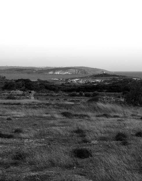 Foto vista panorámica del paisaje contra un cielo despejado