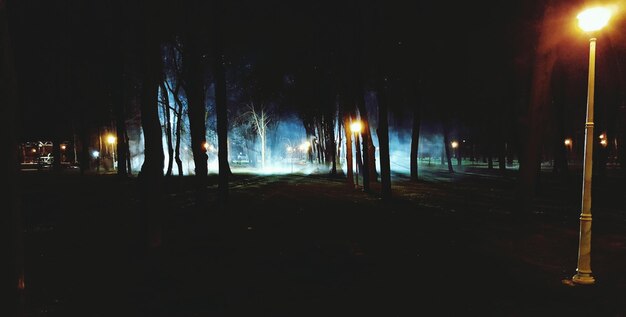 Foto vista panorámica del paisaje contra el cielo nocturno