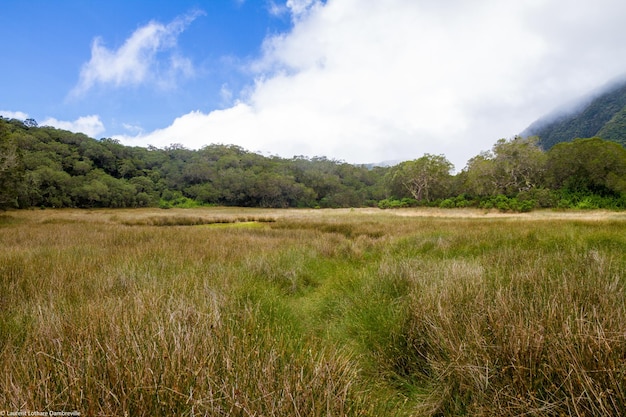 Foto vista panorámica del paisaje contra el cielo nublado