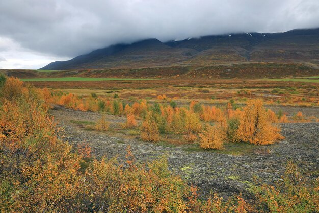 Vista panorámica del paisaje contra el cielo durante el otoño