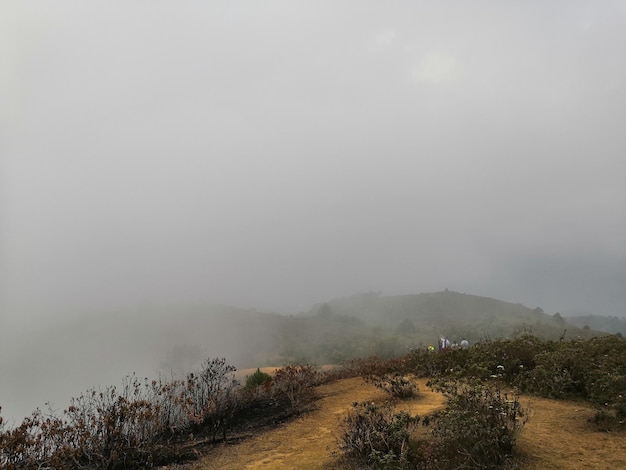 Foto vista panorámica del paisaje contra el cielo durante el tiempo de niebla