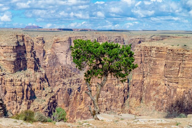 Vista panorámica del paisaje contra el cielo