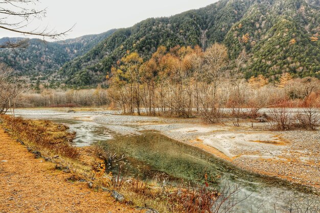 Vista panorámica del paisaje contra el cielo