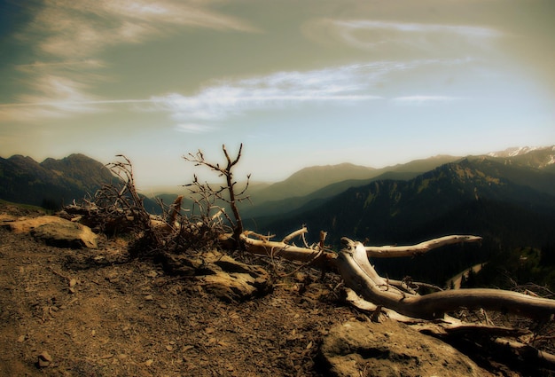 Foto vista panorámica del paisaje contra el cielo