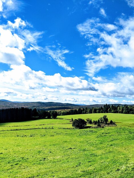 Foto vista panorámica del paisaje contra el cielo