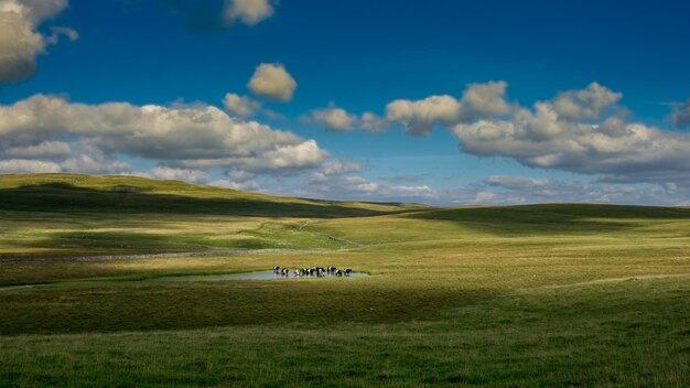 Foto vista panorámica del paisaje contra el cielo