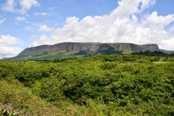 Foto vista panorámica del paisaje contra el cielo