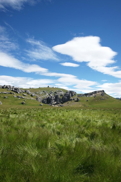 Vista panorámica del paisaje cubierto de hierba contra el cielo