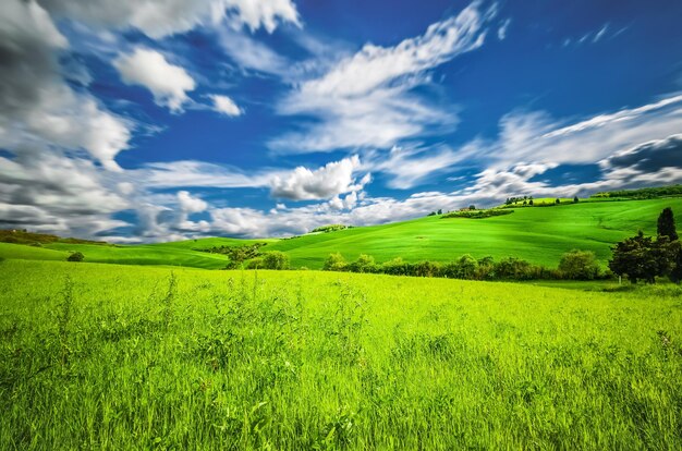 Foto vista panorámica del paisaje cubierto de hierba contra el cielo