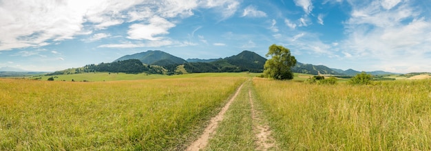 Vista panorámica del paisaje de las estribaciones de verano vacaciones de las montañas de Tatra inferior