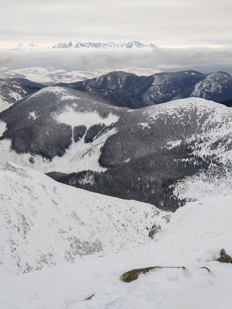 Vista panorámica del paisaje de las montañas tatra de invierno nevadas