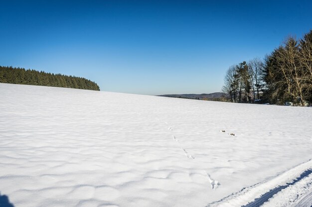 Foto vista panorámica del paisaje nevado contra un cielo despejado