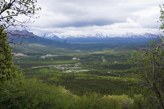 Vista panorámica del paisaje en el parque nacional de Denali