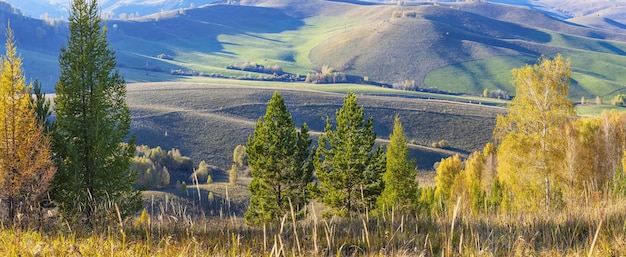Vista panorámica del paisaje rural de la naturaleza otoñal.