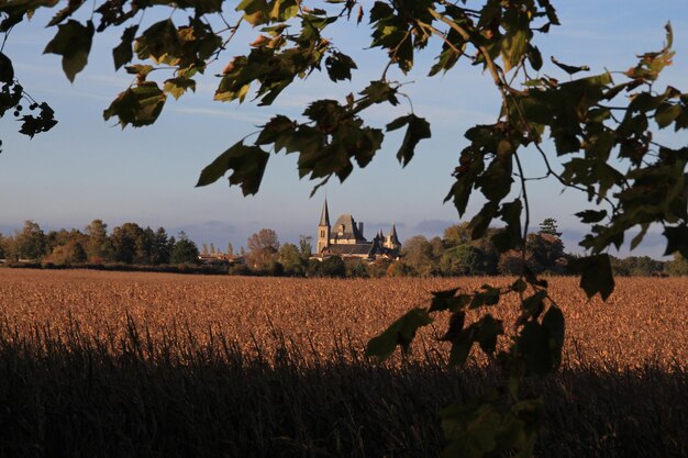 Foto vista panorámica del paisaje rural.