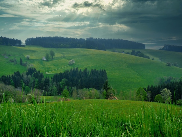 Vista panorámica del paisaje en la Selva Negra Alemania