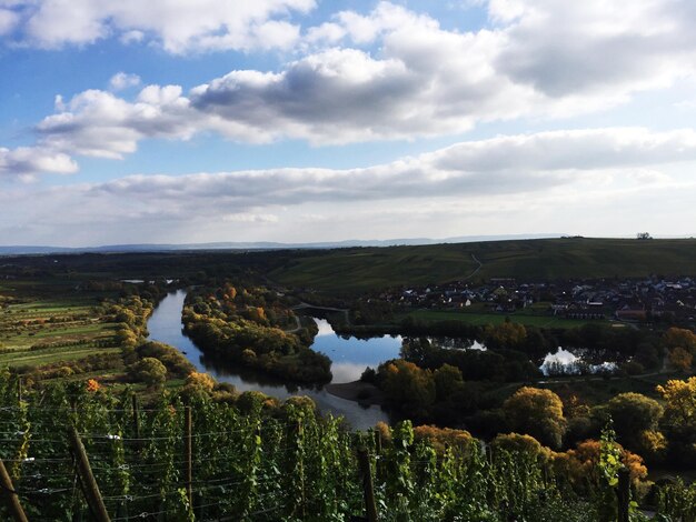 Foto vista panorámica del paisaje verde contra el cielo nublado