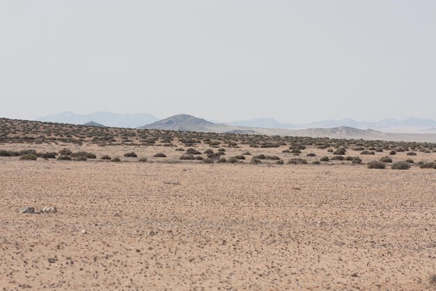 Foto vista panorámica del paisaje