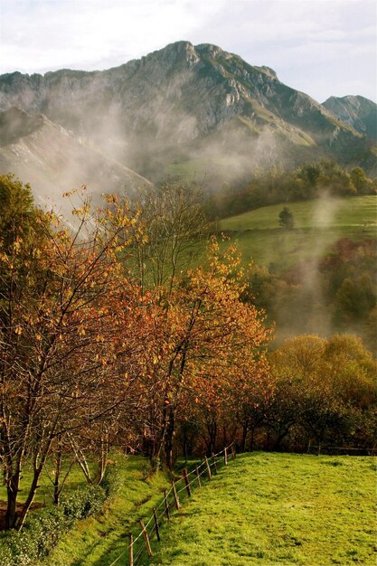 Foto vista panorámica del paisaje