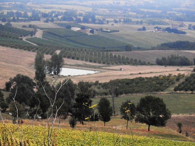 Foto vista panorámica del paisaje